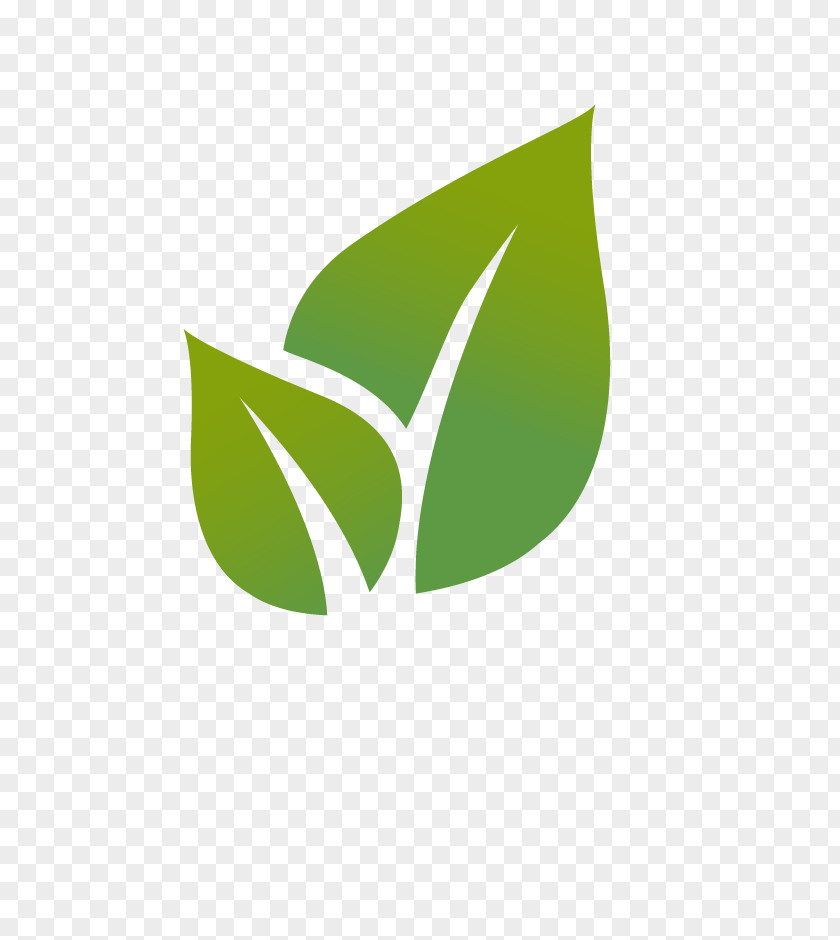 Icon Environment Free Leaf Euclidean Vector Illustration PNG