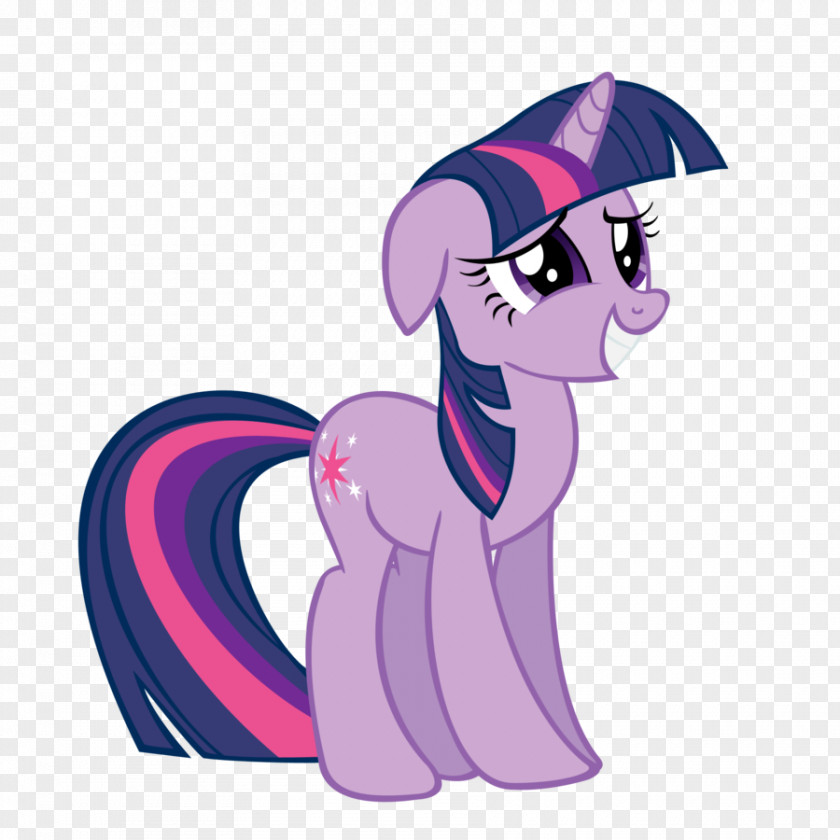 Sparkle Tornado My Little Pony Twilight Fluttershy Vector PNG