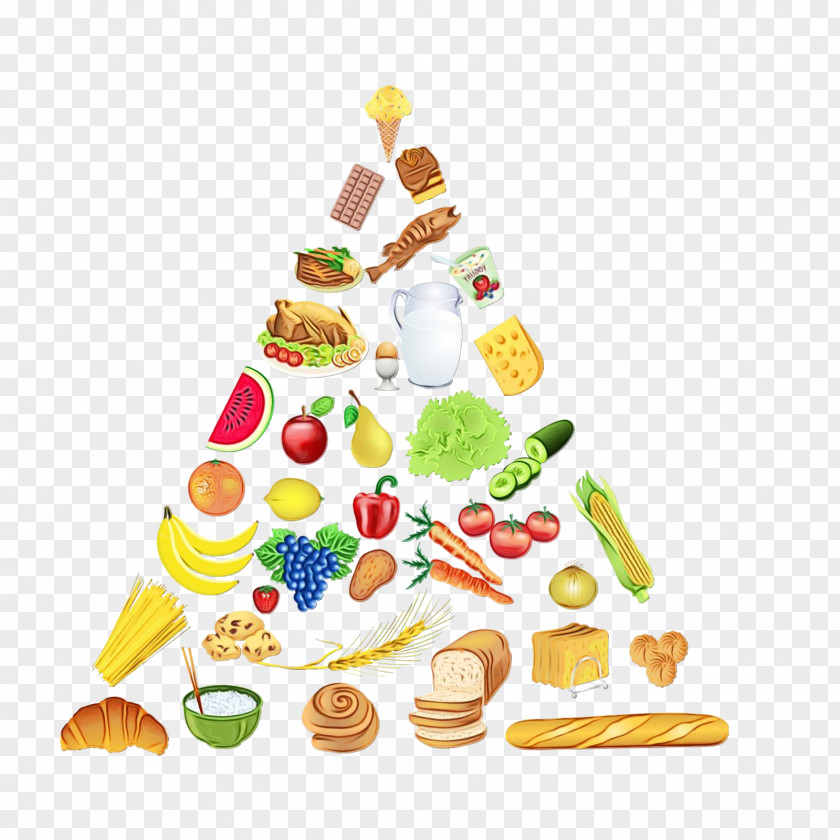 Carbohydrate Function Cell Glycemic Index Protein PNG