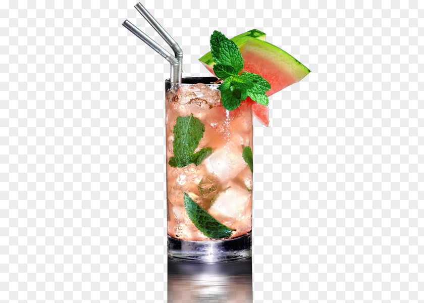 Mojito Bacardi Cocktail Sea Breeze Mai Tai PNG