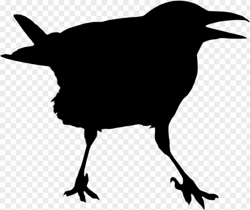 Stencil Wing Bird Silhouette PNG