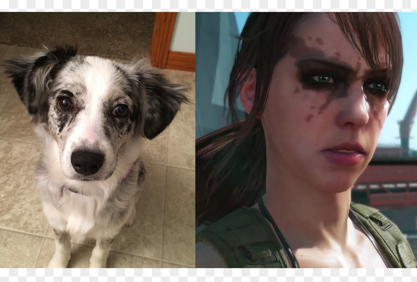 Dog Breed Metal Gear Solid V: The Phantom Pain Video Game Companion PNG