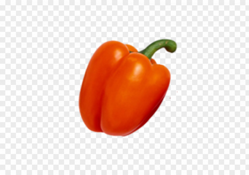 Hand-painted Pepper Habanero Bell Cayenne Tabasco Vegetarian Cuisine PNG