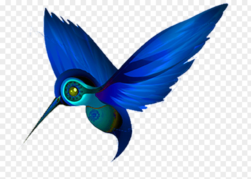 Hummingbird Lawn Clip Art PNG