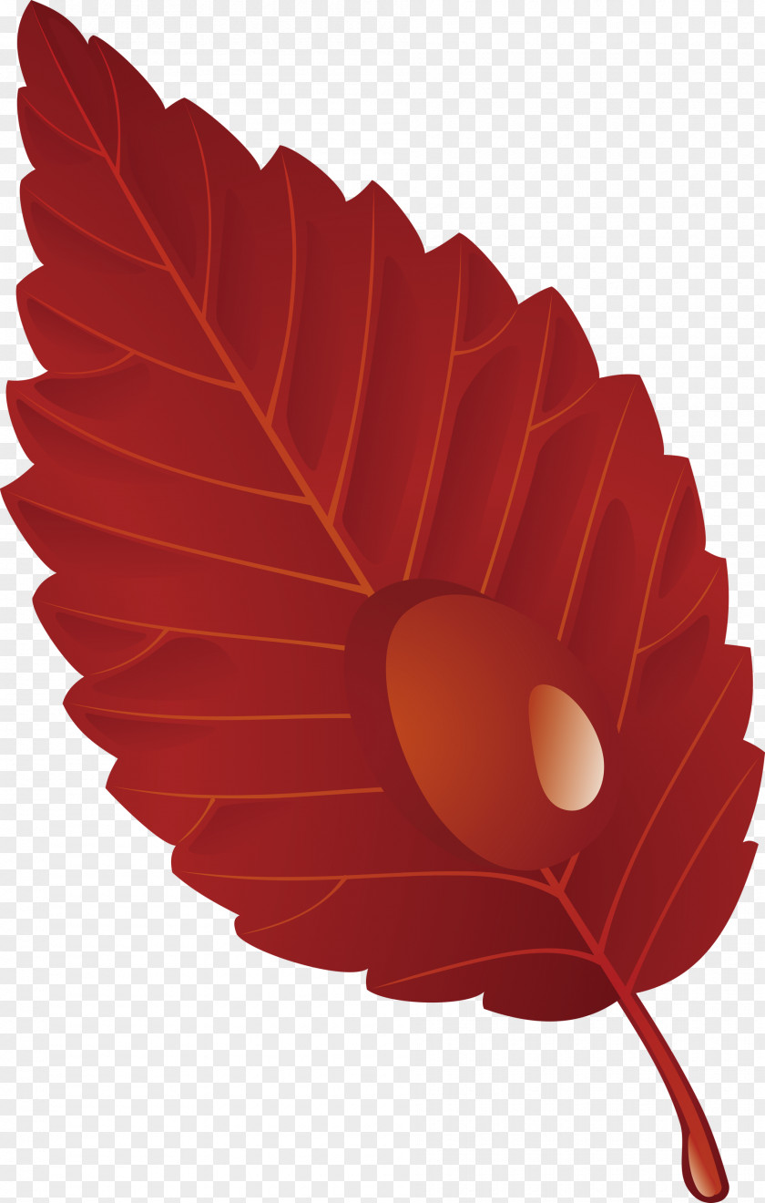 Leaf Red Plant Tree Flower PNG