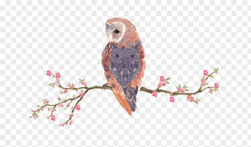 Side Bar Owl IPhone 6S Bird PNG