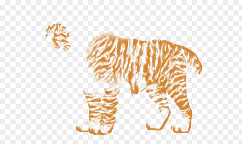Tiger Lion Felidae Zebra Big Cat PNG