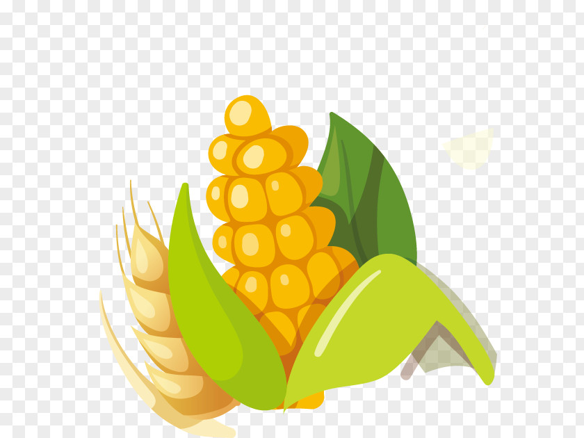 Corn On The Cob Maize Kernel PNG