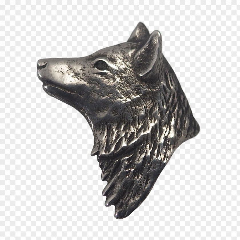 Coyote Snout PNG