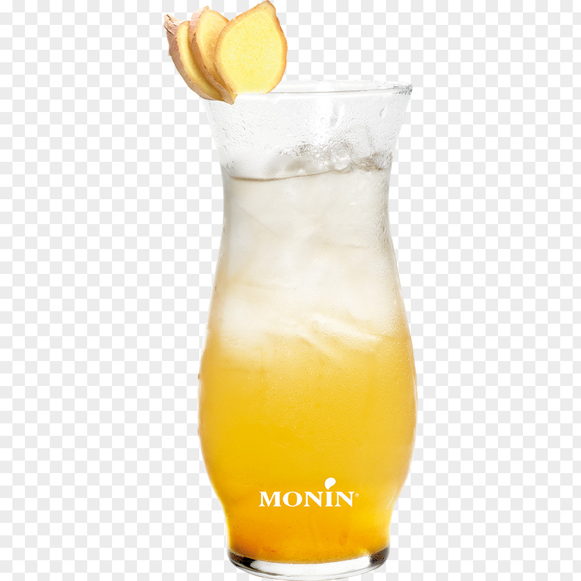 Ginger Tea Harvey Wallbanger Fuzzy Navel Orange Drink Piña Colada Cocktail Garnish PNG