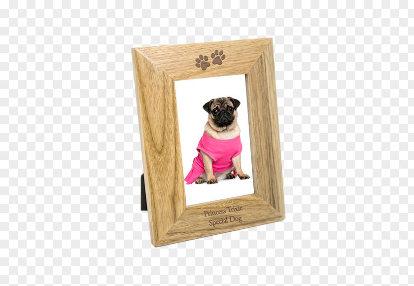 Puppy Pug Love Picture Frames Breed PNG