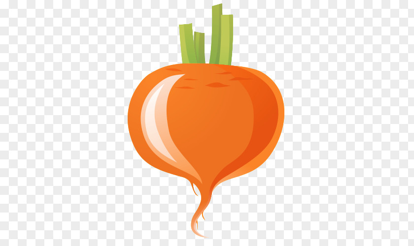 Cartoon Carrot Vegetable PNG