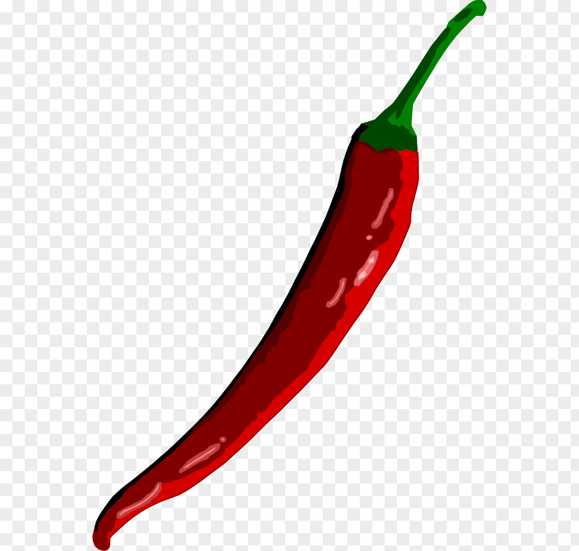 Chili Pepper Images Con Carne Capsicum Annuum Spice Clip Art PNG