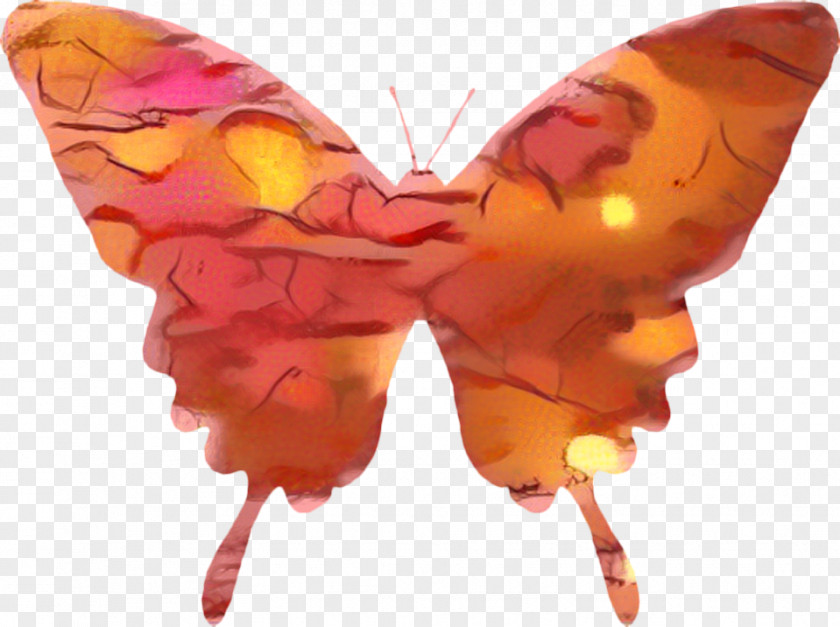 Emperor Moths Symmetry Butterfly Cartoon PNG