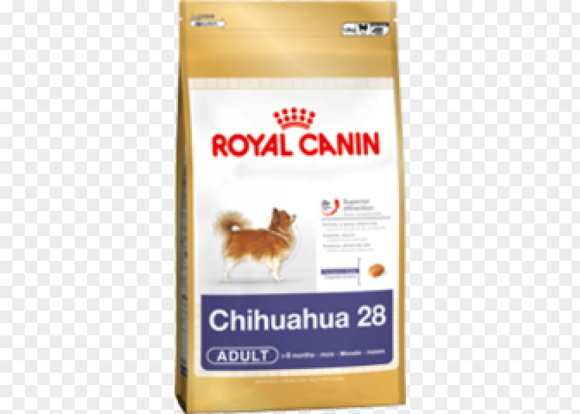 Golden Retriever Cat Food Cavalier King Charles Spaniel Maltese Dog PNG