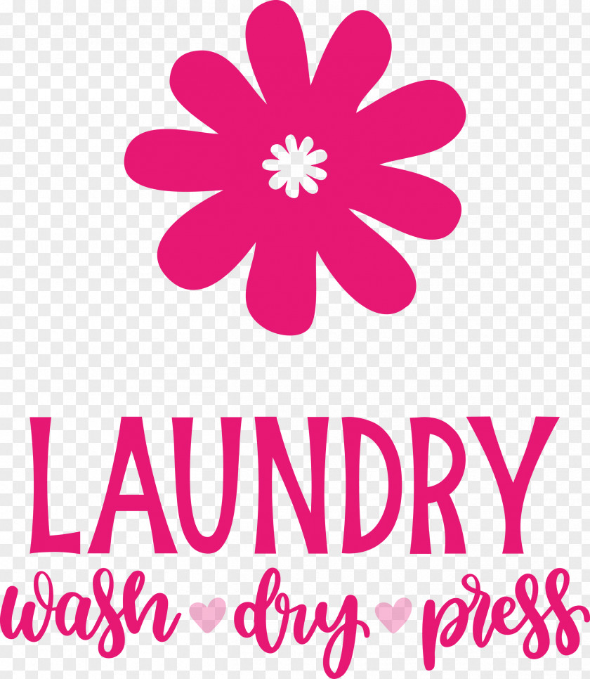 Laundry Wash Dry PNG