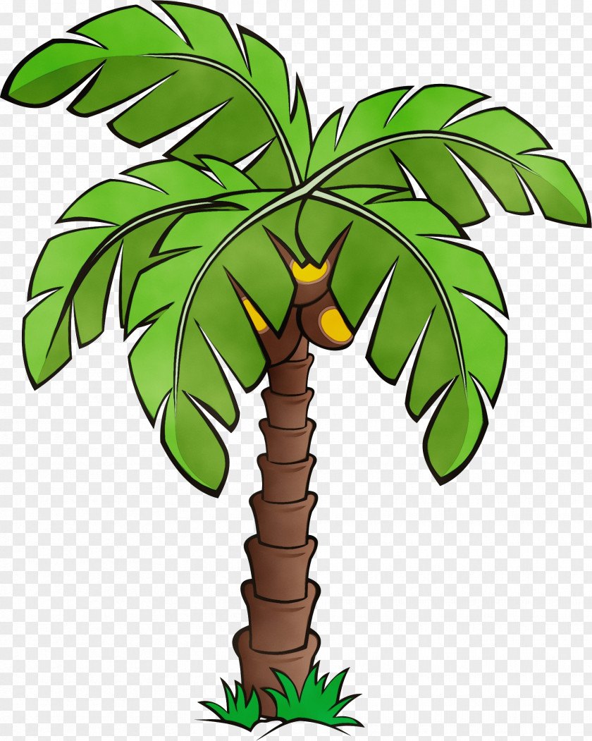 Palm Trees PNG