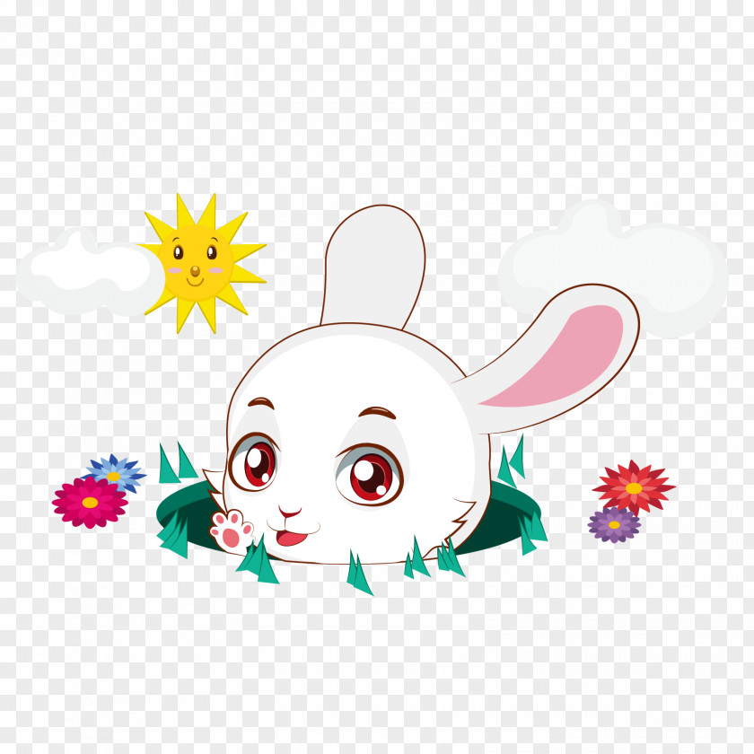 Vector Bunny Rabbit Illustration PNG