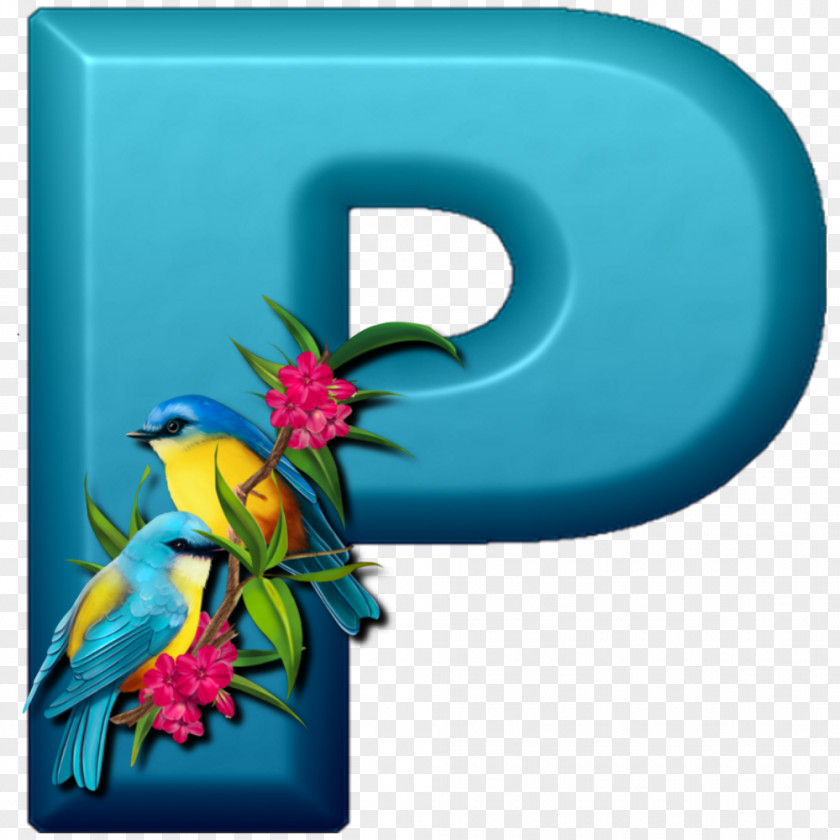 Bird Alphabet Letter Passerine PNG