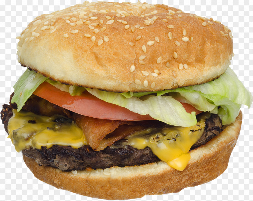 Burger And Sandwich United States Hamburger Tax Reform Republican Party PNG