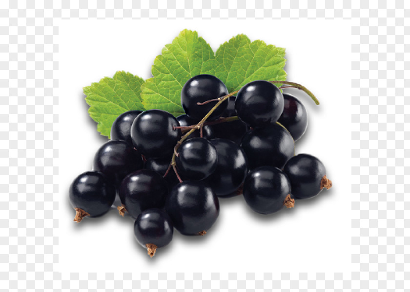 Juicy Grapes Blackcurrant Juice Redcurrant Berry Fruit PNG