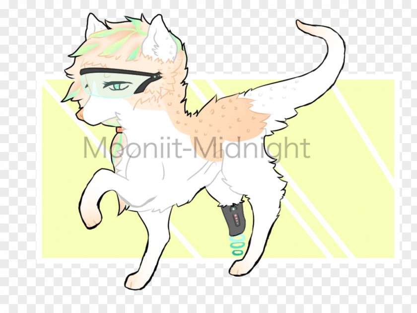 Kitten Whiskers Cat Horse PNG