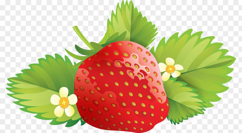 Strawberry Clip Art PNG