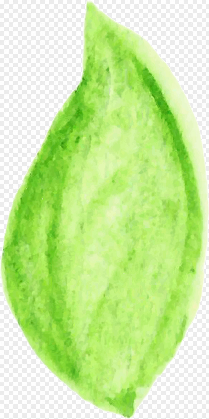WATERCOLOR LEAF Vegetable Food Fruit Leaf PNG