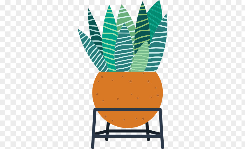 Aloe Vector Vera PNG