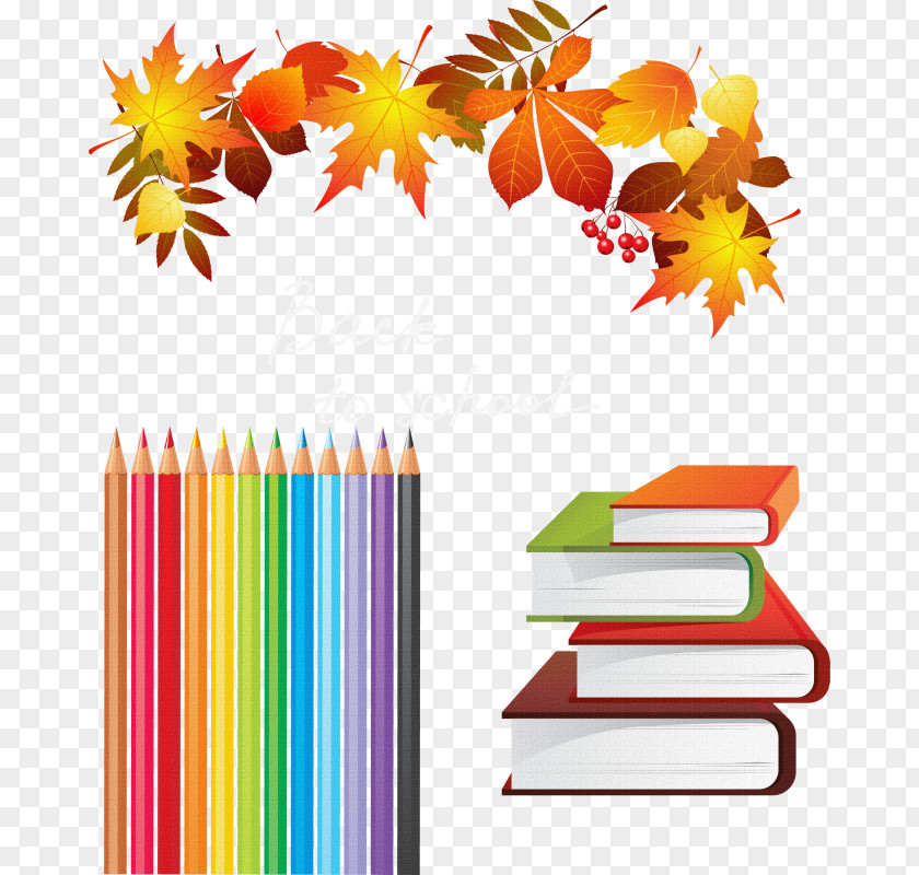 Autumn Leaf Clip Art PNG