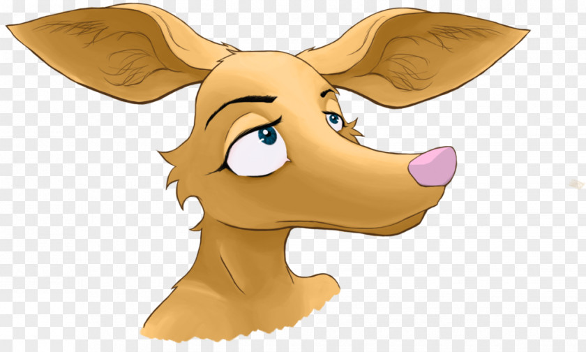 Dog Macropodidae Snout Cartoon PNG