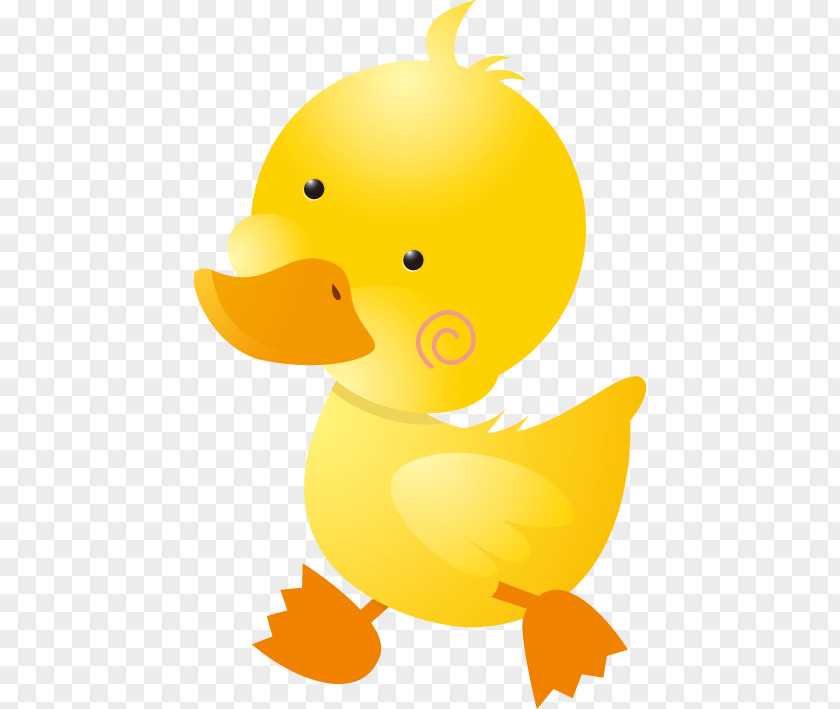 Duck Donald Little Yellow Project Baby Ducks Cartoon PNG