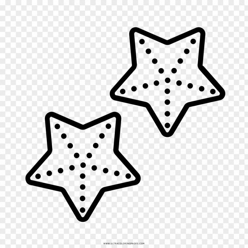 Estrela Do Mar Drawing Biology Star Coloring Book PNG