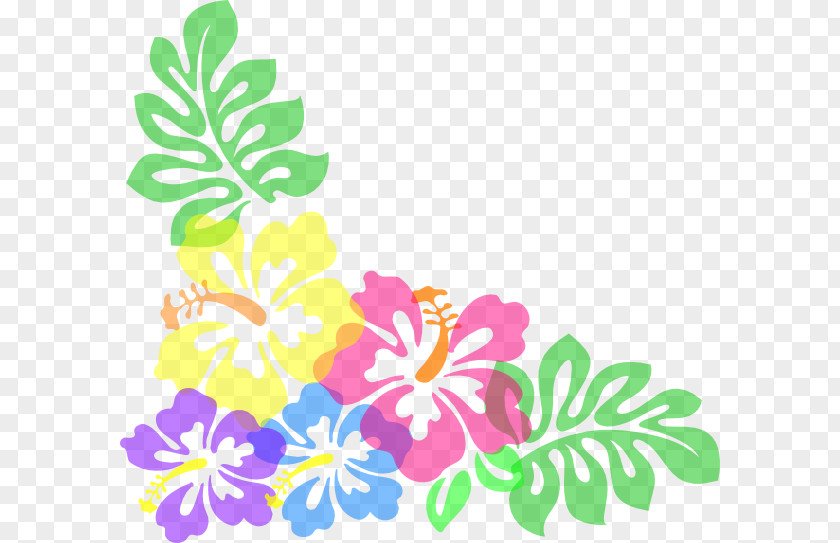 High Resolution Clipart Hibiscus Schizopetalus Free Content Hawaiian Clip Art PNG