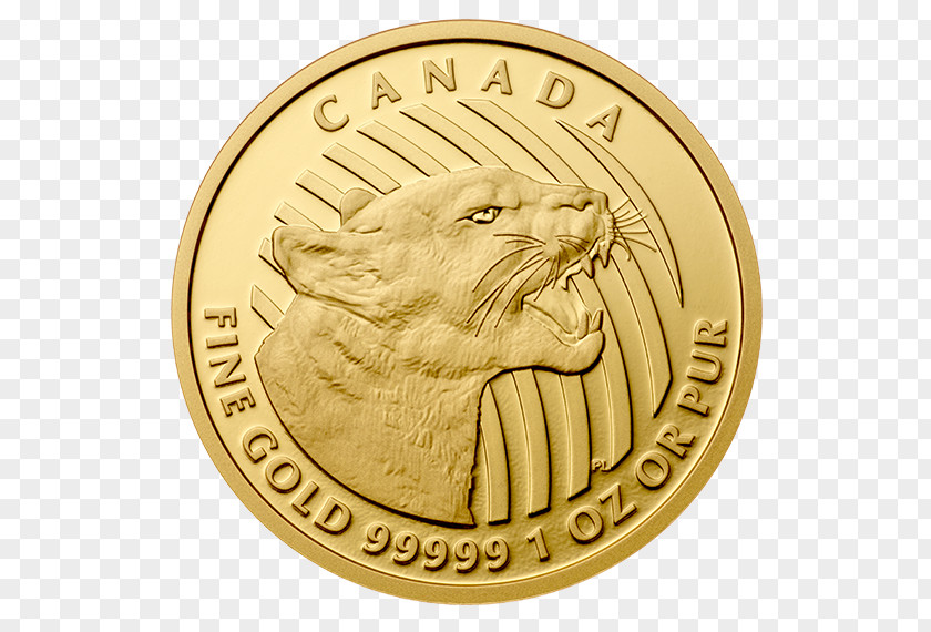 World Vision Canada Gold Coin Krugerrand Bullion PNG