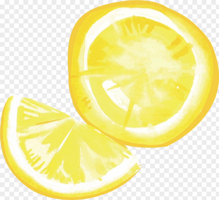 Yellow Lemon Slices PNG