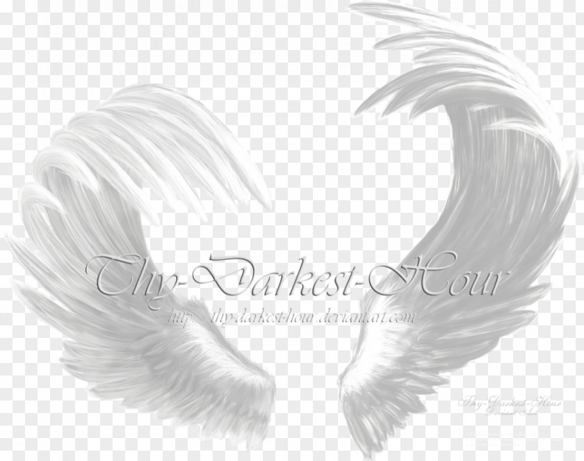 Angel Wing Clip Art PNG