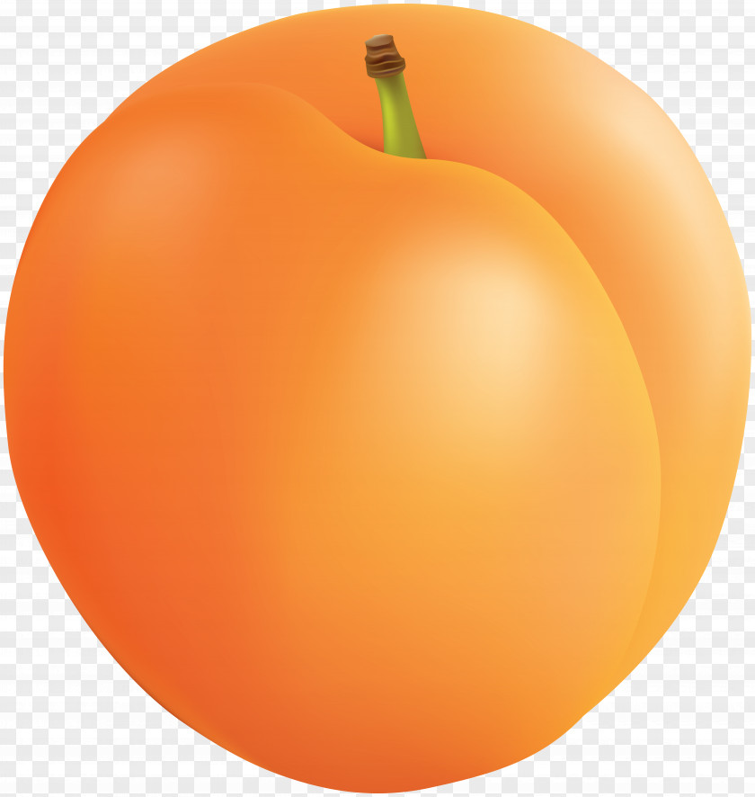 Apricot Clip Art Tangerine PNG