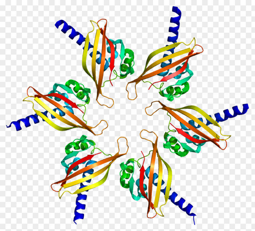 Atm Serinethreonine Kinase Habenula Glogster Major Depressive Disorder Symptom PNG