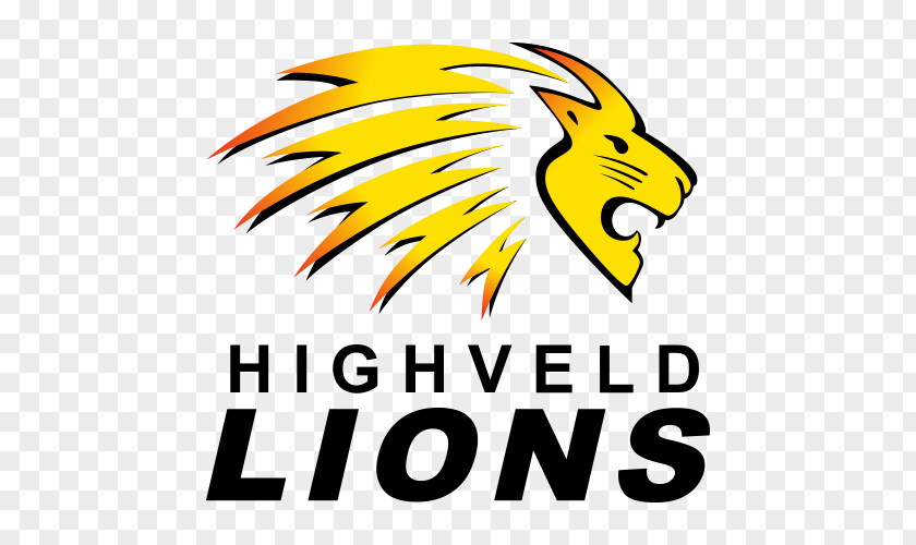 Cricket Highveld Lions Champions League Twenty20 South Africa National Team Pakistan World Cup PNG