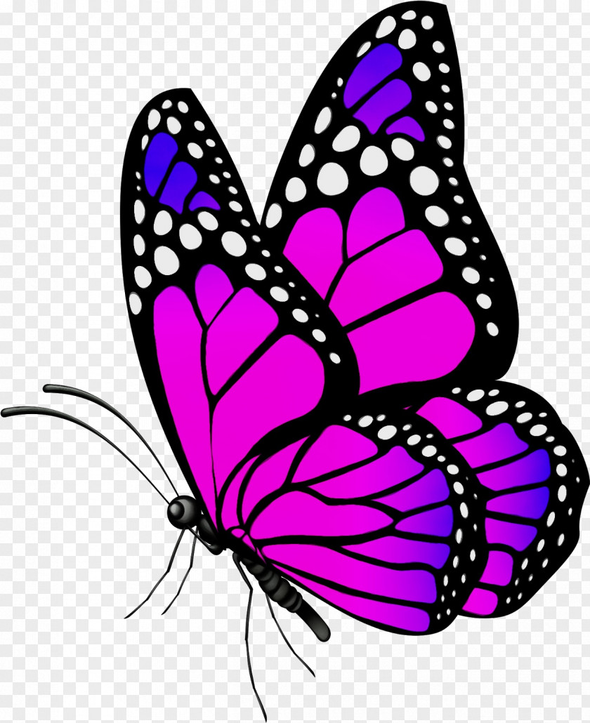 Monarch Butterfly Pink PNG