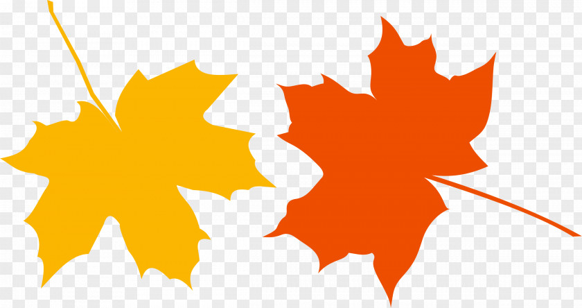 Autumn Leaves Japanese Maple Leaf Color Clip Art PNG