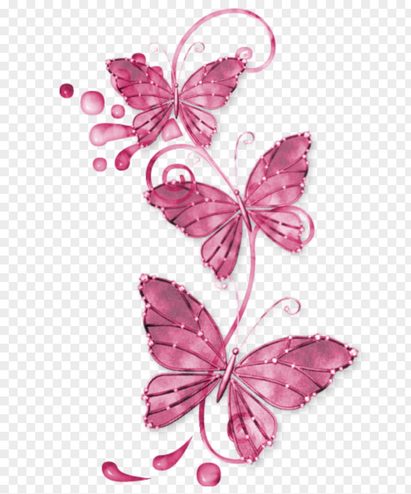 Butterfly Lossless Compression Clip Art PNG