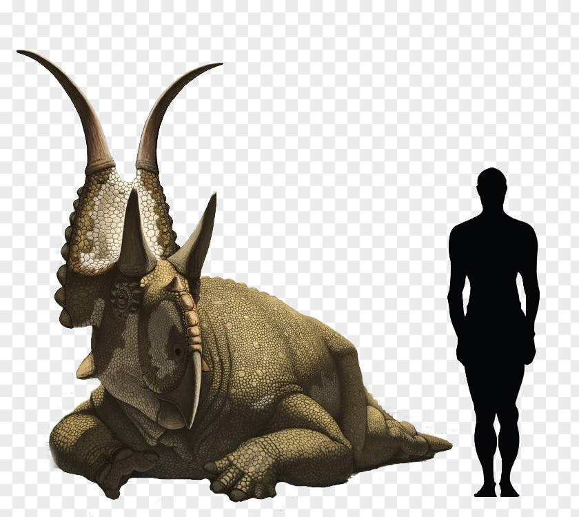 Dinosaur Diabloceratops Triceratops Avaceratops Chasmosaurus Scelidosaurus PNG