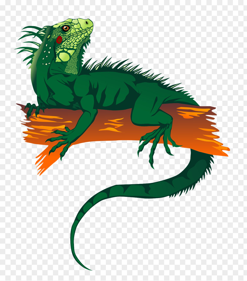 Rainforest Animals Clipart Lizard Blue Iguana Green Reptile Clip Art PNG