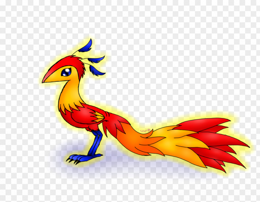 Feather Rooster Beak Bird PNG