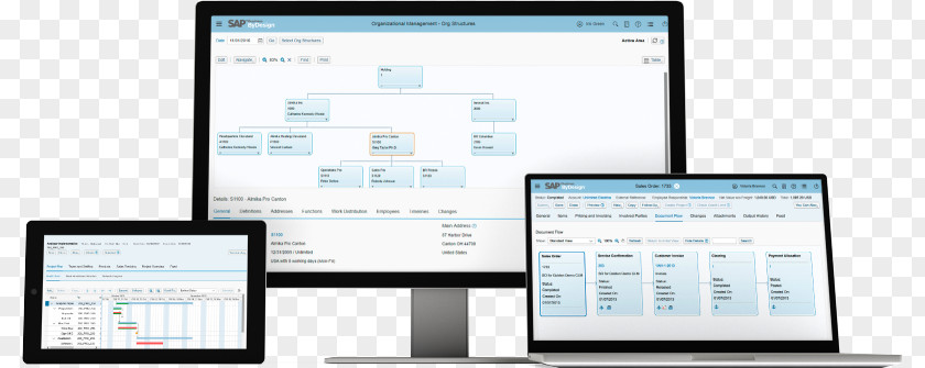 True Or False SAP Business ByDesign Enterprise Resource Planning One ERP PNG