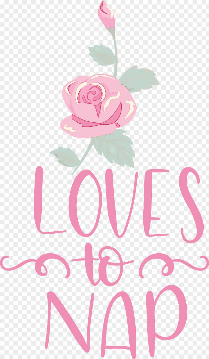 Floral Design PNG