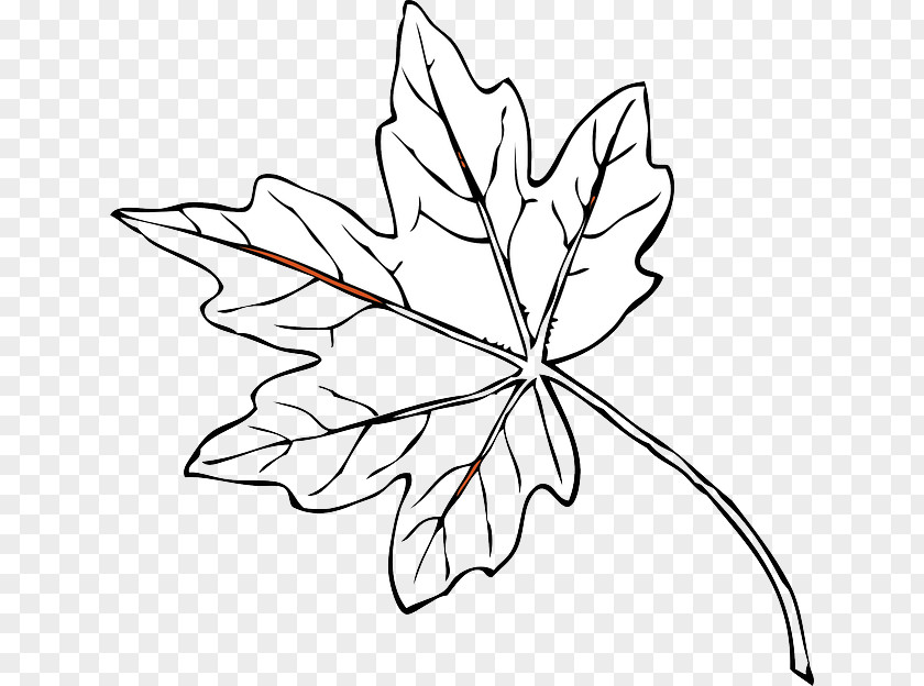 Leaf Autumn Color Red Clip Art PNG