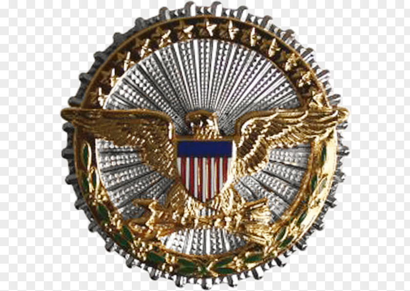 Leaves Badge United States Department Of Defense Office The Secretary Identification Badges Uniform Services PNG